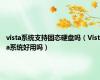 vista系统支持固态硬盘吗（Vista系统好用吗）