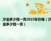 沙金多少钱一克2023年价格（沙金多少钱一克）