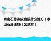 泰山石忌讳放庭院什么地方（泰山石忌讳放什么地方）