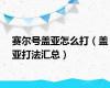 赛尔号盖亚怎么打（盖亚打法汇总）