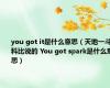 you got it是什么意思（天地一斗科比说的 You got spark是什么意思）