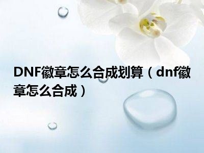 DNF徽章怎么合成划算（dnf徽章怎么合成）