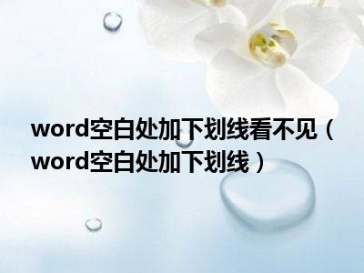 word空白处加下划线看不见（word空白处加下划线）