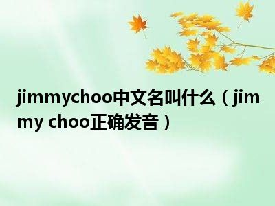 jimmychoo中文名叫什么（jimmy choo正确发音）