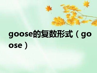 goose的复数形式（goose）