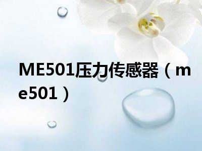 ME501压力传感器（me501）