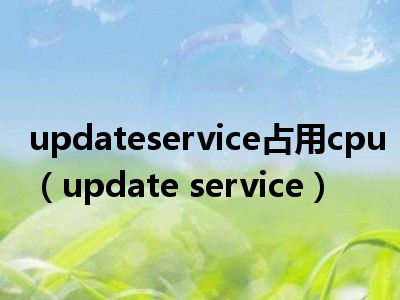 updateservice占用cpu（update service）