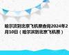 哈尔滨到北京飞机票查询2024年2月10日（哈尔滨到北京飞机票）