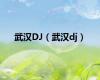 武汉DJ（武汉dj）