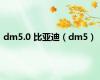 dm5.0 比亚迪（dm5）