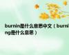 burnin是什么意思中文（burning是什么意思）