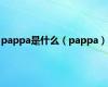 pappa是什么（pappa）