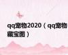 qq宠物2020（qq宠物藏宝图）