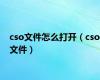 cso文件怎么打开（cso文件）