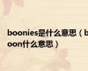 boonies是什么意思（boon什么意思）