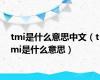 tmi是什么意思中文（tmi是什么意思）