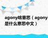 agony啥意思（agony是什么意思中文）