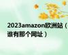 2023amazon欧洲站（谁有那个网址）