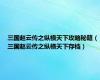 三国赵云传之纵横天下攻略秘籍（三国赵云传之纵横天下存档）