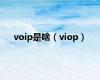 voip是啥（viop）