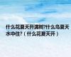 什么花夏天开满树?什么鸟夏天水中住?（什么花夏天开）