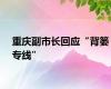 重庆副市长回应“背篓专线”