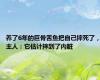 养了6年的巨骨舌鱼把自己摔死了，主人：它估计摔到了内脏