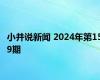 小并说新闻 2024年第159期