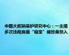 中国大熊猫保护研究中心：一主播多次违规直播“福宝”被终身禁入