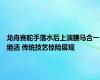 龙舟赛舵手落水后上演腰马合一绝活 传统技艺惊险展现