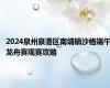 2024泉州泉港区南埔镇沙格端午龙舟赛观赛攻略