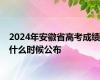 2024年安徽省高考成绩什么时候公布