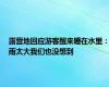 露营地回应游客醒来睡在水里：雨太大我们也没想到