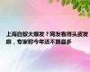 上海白蚁大爆发？网友看得头皮发麻，专家称今年还不算最多