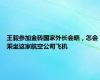 王毅参加金砖国家外长会晤，怎会乘坐这家航空公司飞机