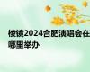 棱镜2024合肥演唱会在哪里举办