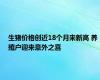 生猪价格创近18个月来新高 养殖户迎来意外之喜