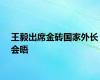 王毅出席金砖国家外长会晤