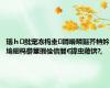 瑙ｈ纰宠冻杩圭鐞嗗疄鏂芥柟妗堬細杩欎簺瑕佺偣闇€鍏虫敞锛?,