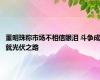 董明珠称市场不相信眼泪 斗争成就光伏之路