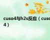 cuso4与h2s反应（cuso4）