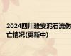 2024四川雅安泥石流伤亡情况(更新中)