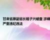 甘肃省原副省长杨子兴被查 涉嫌严重违纪违法