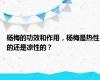 杨梅的功效和作用，杨梅是热性的还是凉性的？