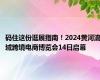 码住这份逛展指南！2024黄河流域跨境电商博览会14日启幕