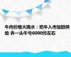 牛肉价格大跳水：奶牛入市加剧供给 养一头牛亏6000元左右