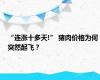 “连涨十多天!” 猪肉价格为何突然起飞？