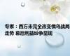 专家：西方未完全改变俄乌战局走势 幕后利益纷争显现