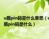 u盾pin码是什么意思（u盾pin码是什么）