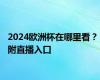 2024欧洲杯在哪里看？ 附直播入口